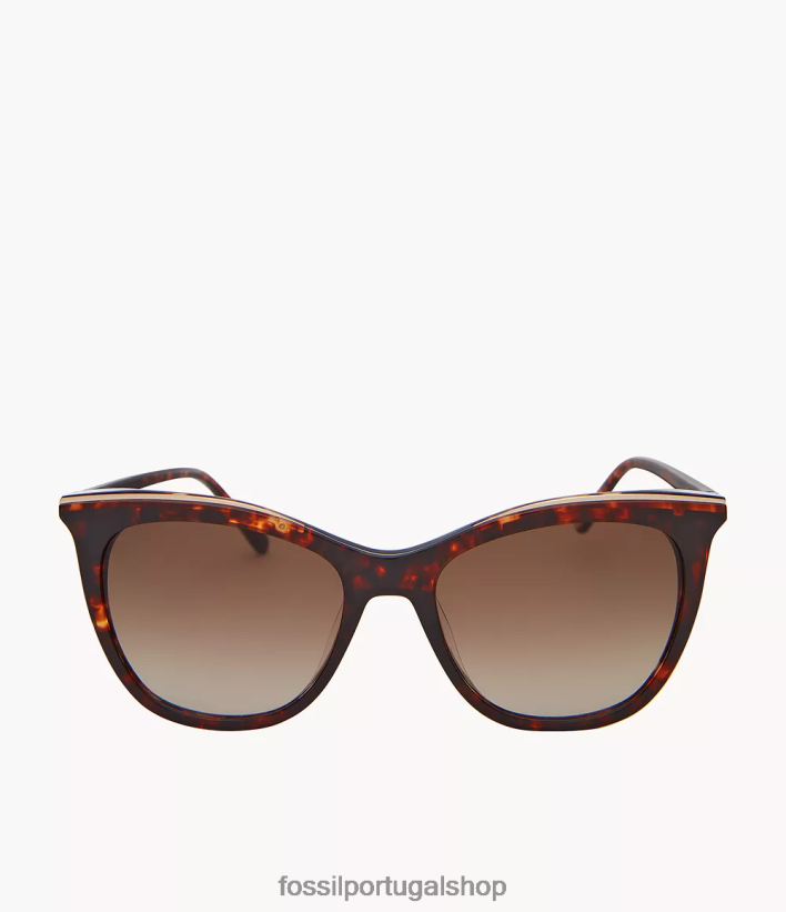 Fossil mulheres óculos de sol gatinho haddie marrom acessório 40NJ6Z1973